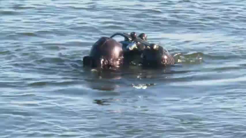 Padre desapareció tras salvar a hija de ahogarse en Río Biobío