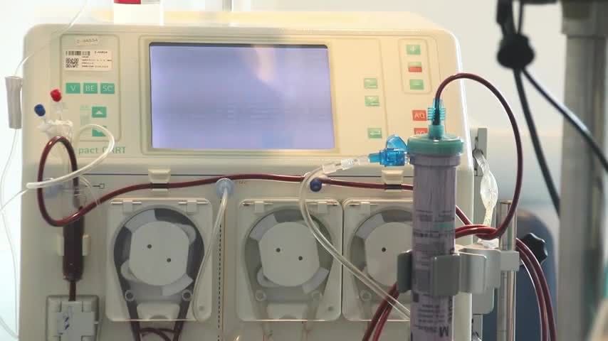 Confirman primer caso de Hantavirus en Biobío