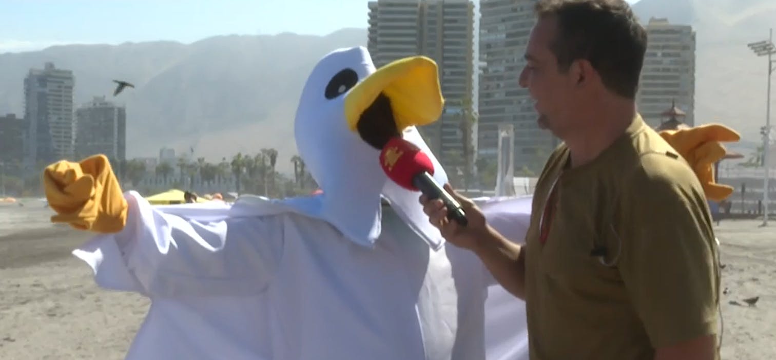 ¡Gavioteke llegó hasta Iquique!