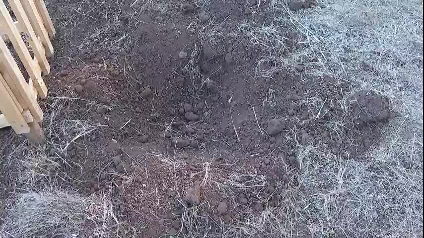 Investigan a mujer por inhumación de recién nacido
