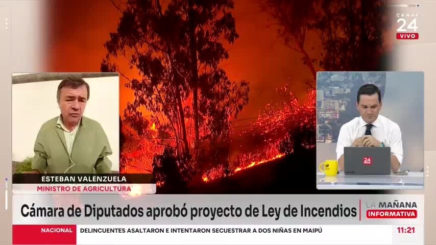 Ley de incendios: Asegura mayor resiliencia y protección frente a incendios y cambio climático