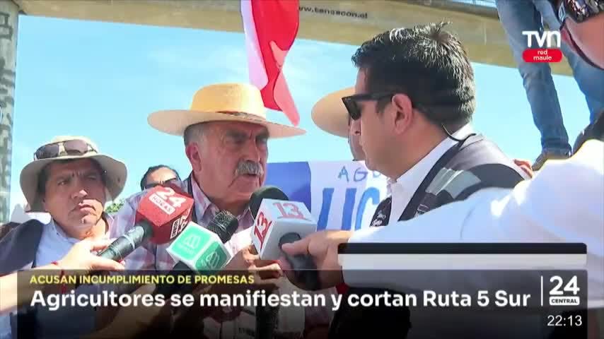 24 Central Red Maule