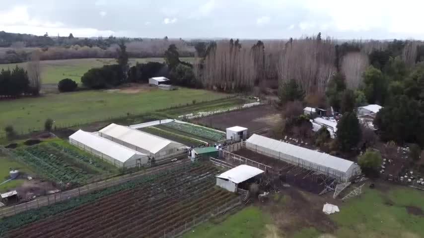 Seguridad en la provincia de Arauco es el mayor logro de los primeros dos años de gobierno en el Biobío