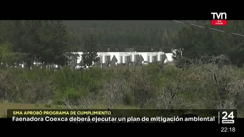 Faenadora Coexca deberá ejecutar un plan de mitigación ambiental