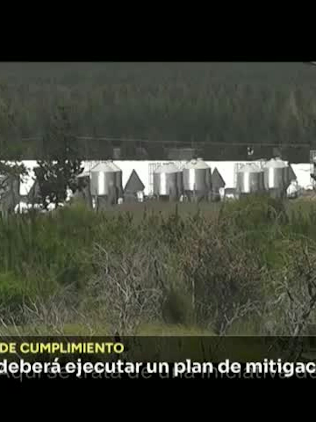 Faenadora Coexca deberá ejecutar un plan de mitigación ambiental