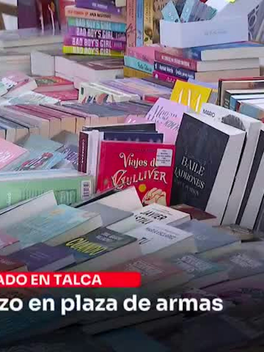 Este fin de semana se desarrolla una nueva versión de la feria del libro usado