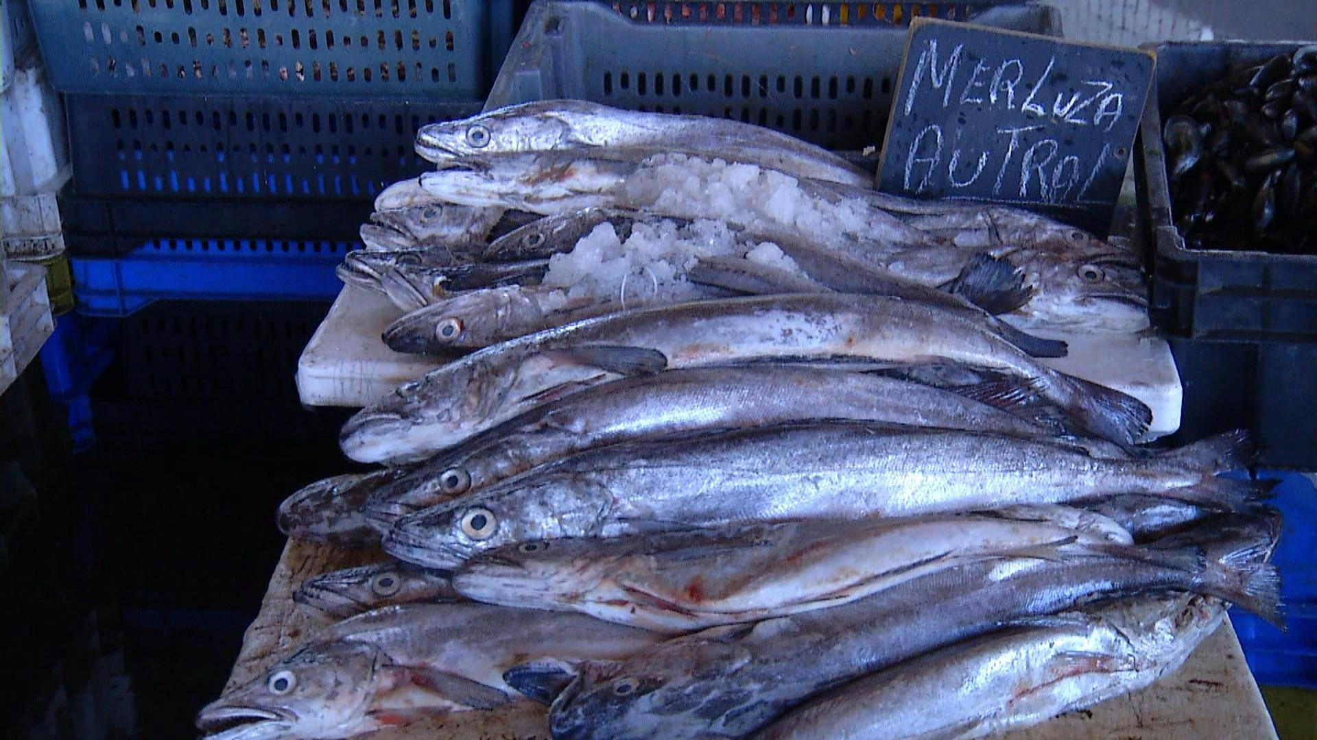 La comisión de pesca se reúne en Caleta Portales con pescadores para debatir nuevo proyecto de leya-b204-ca6d25e97814_val180324pesca.mp4