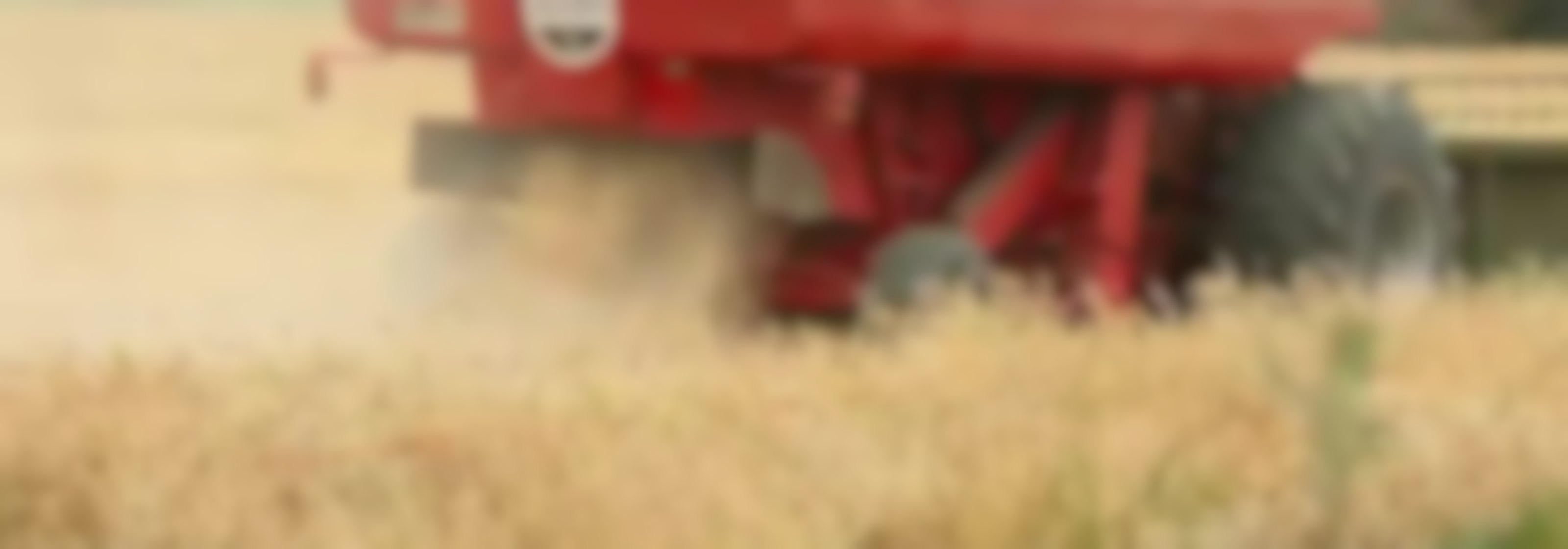 Productores de trigo descartan incidencia en precio del pan