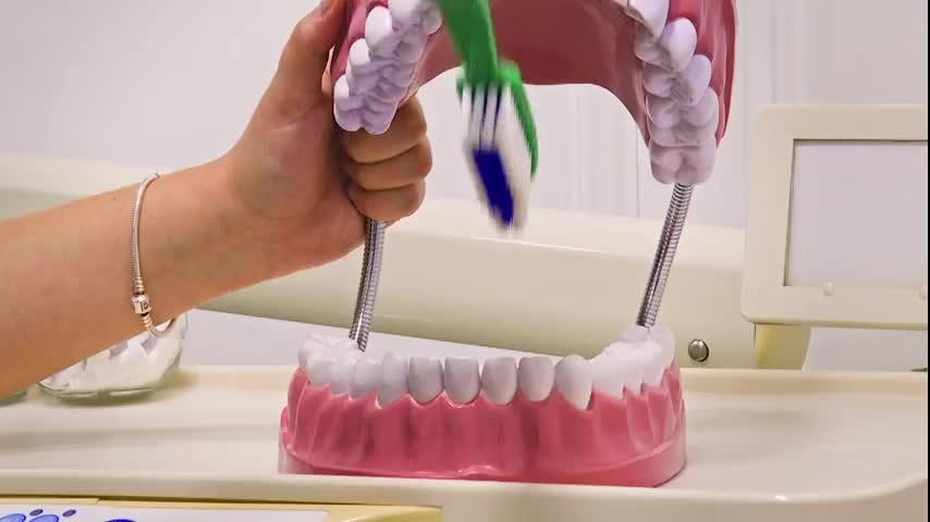 Salud Bucal: Técnica de cepillado para niños y niñas
