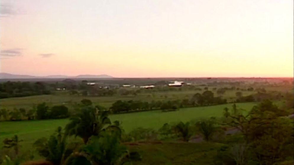 El Mirador - T6E8