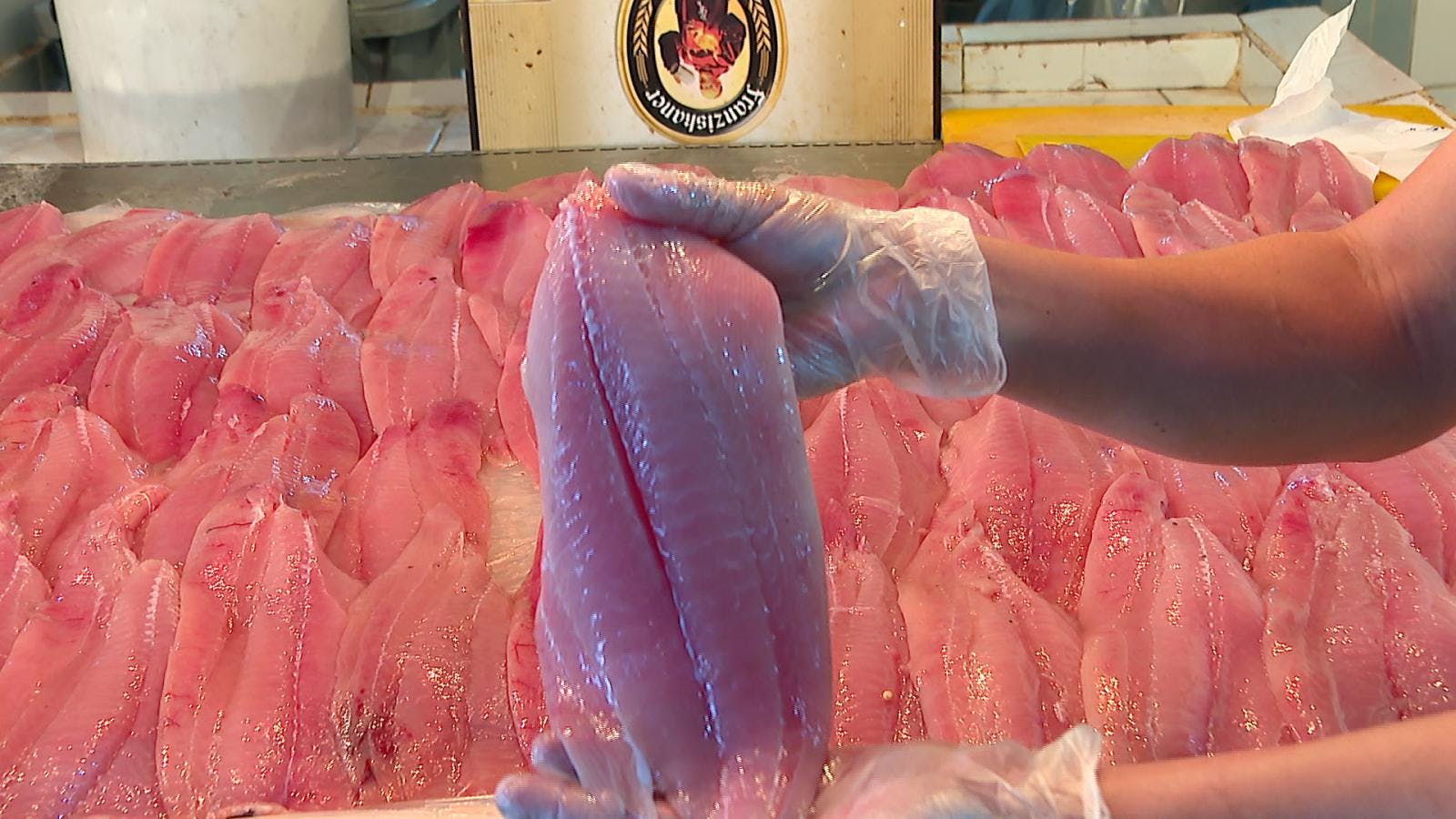 Locatarios del terminal pesquero prevén mínimas alzas en el precio de los pescados 