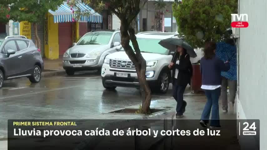 Lluvia provoca caída de árbol y cortes de luz