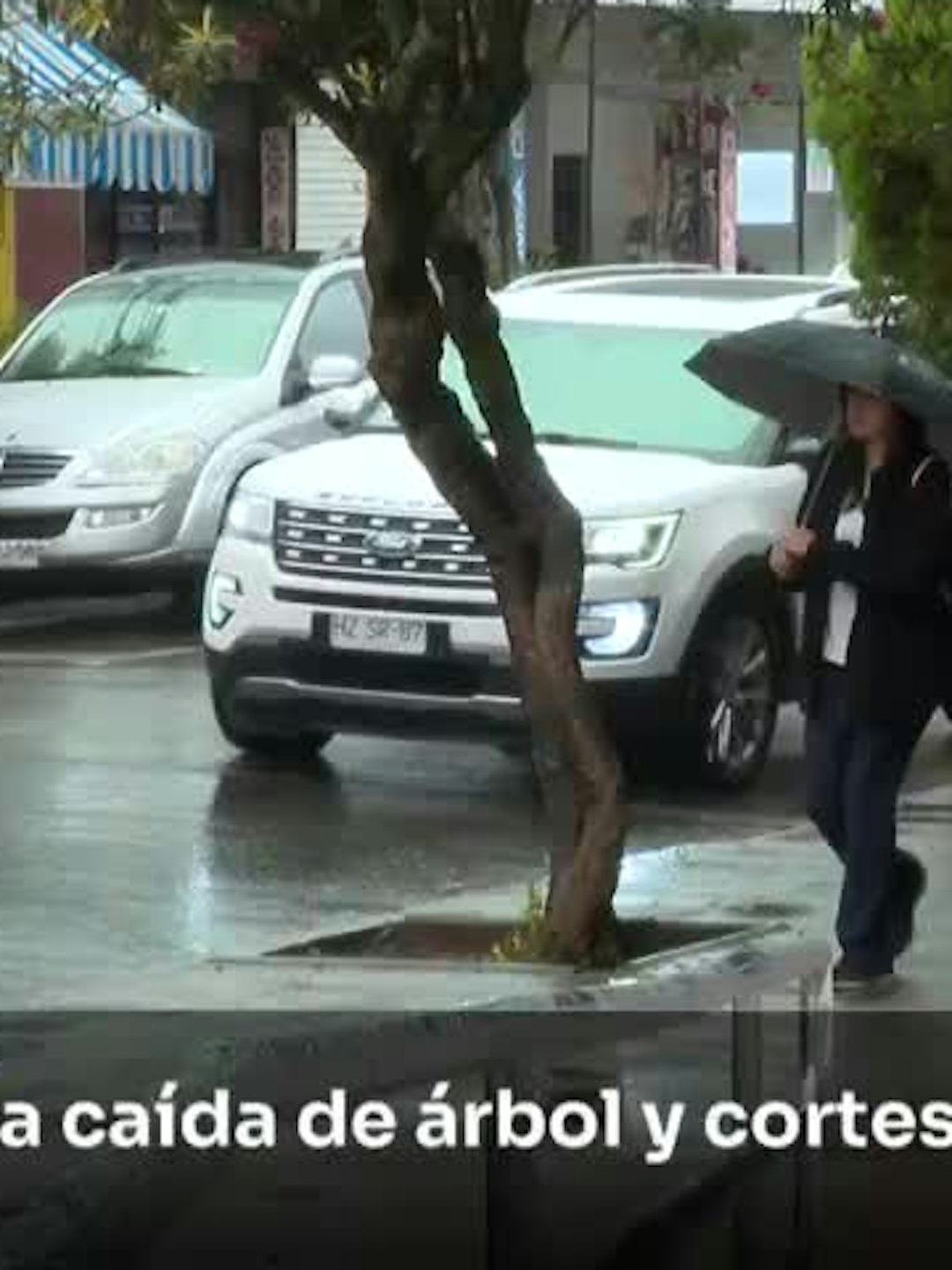 Lluvia provoca caída de árbol y cortes de luz