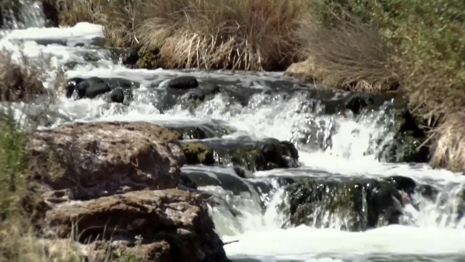 Conmemoran el día mundial del agua