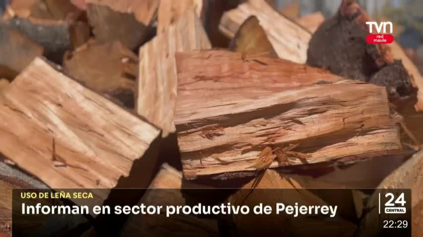 Programa leña más seca