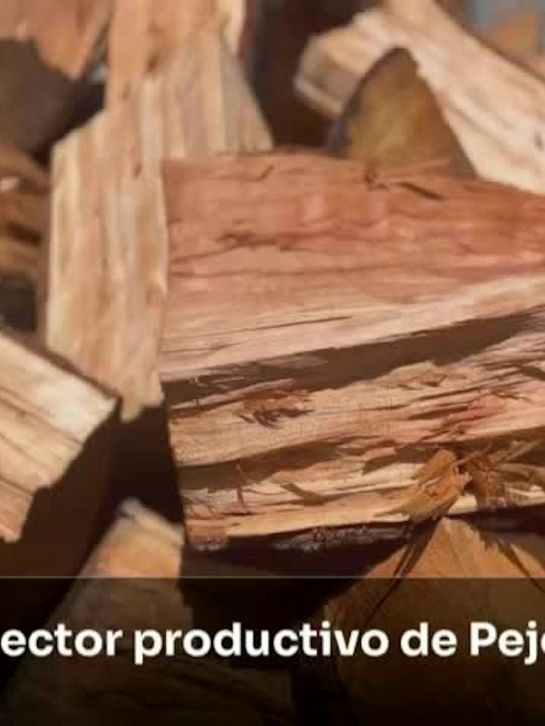 Programa "leña más seca"