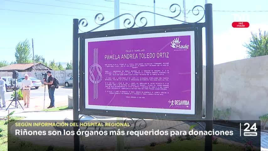 Riñones son los órganos más requeridos para donaciones