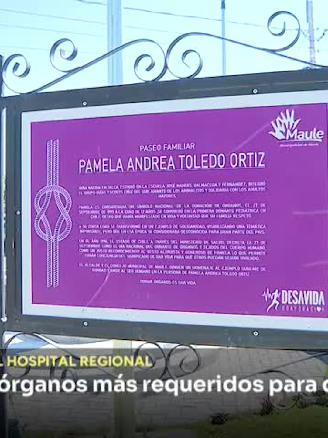 Riñones son los órganos más requeridos para donaciones