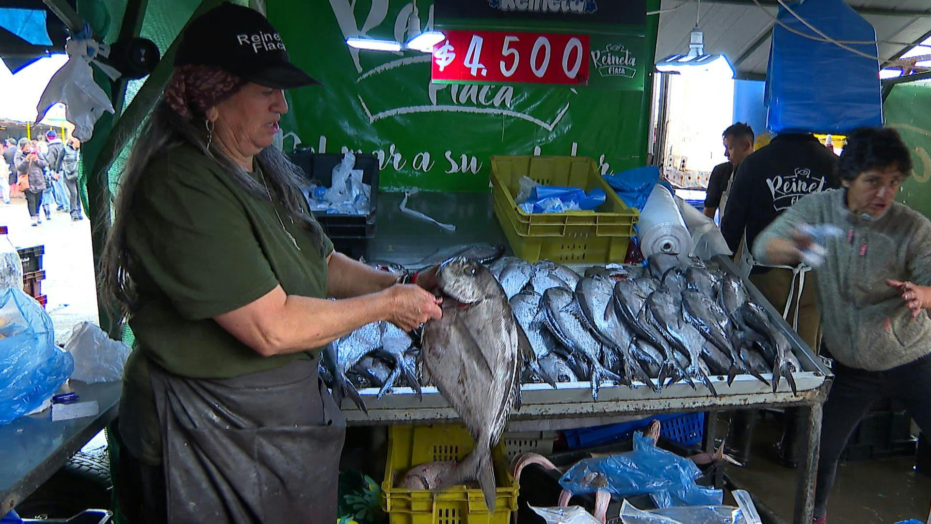 Reineta fue la favorita entre compradores en Caleta Portales