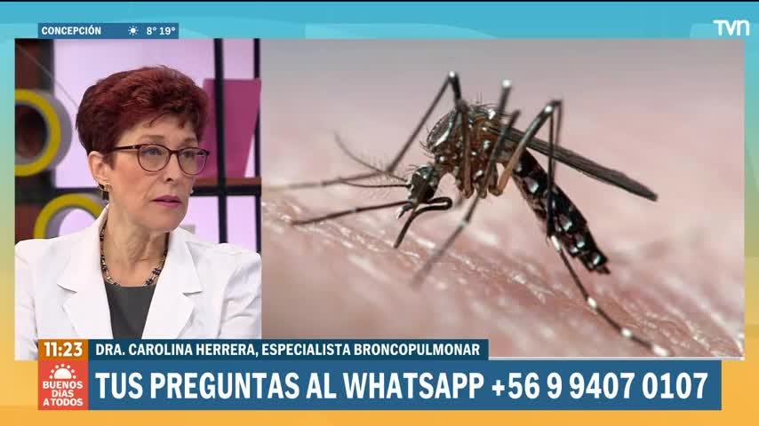 ¿Cuáles son los síntomas del Dengue?