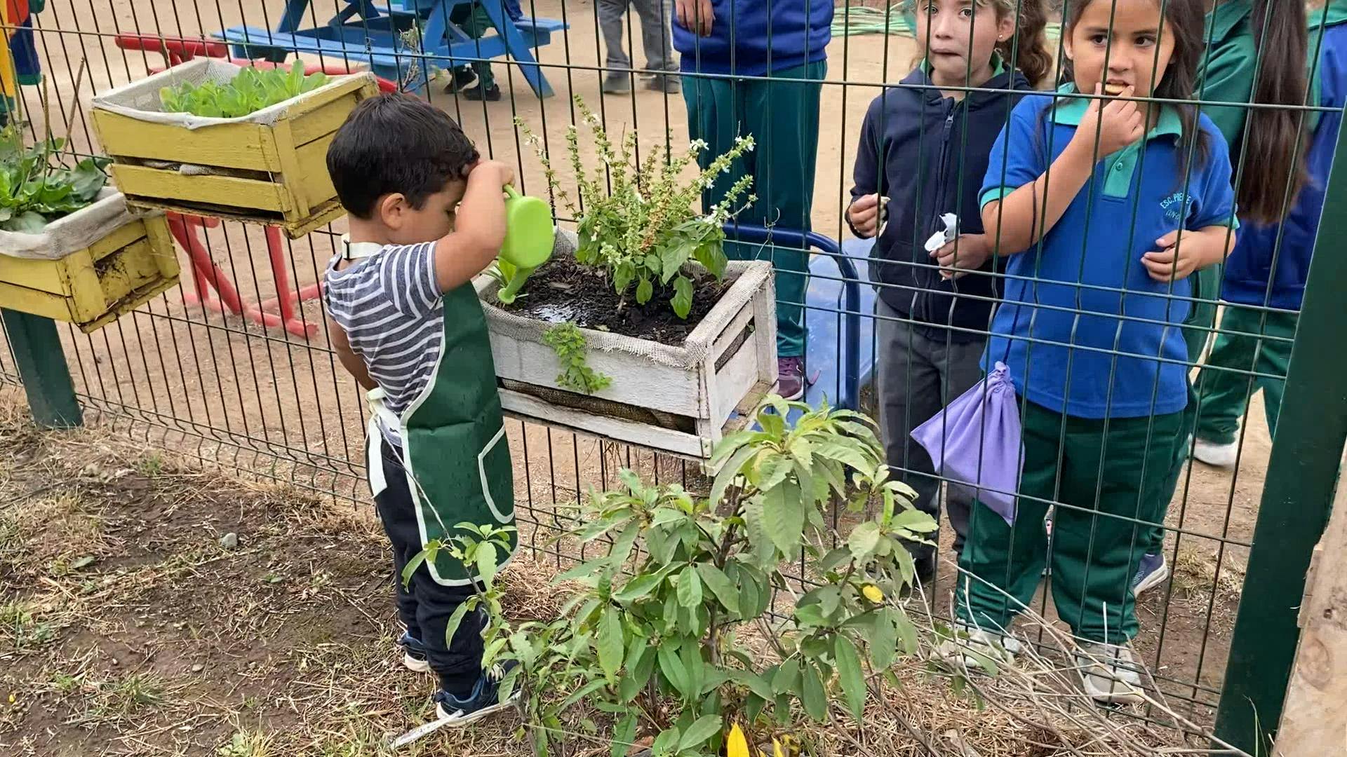 Jardín público en Concón es el primero en aplicar el método Montessori