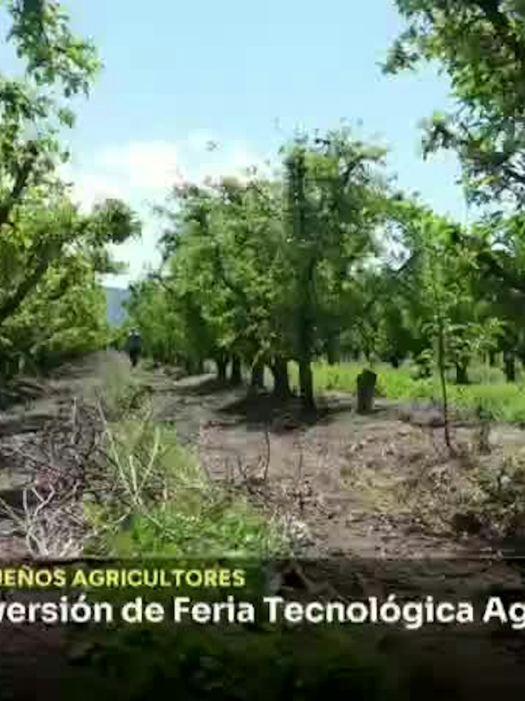 Anuncian cuarta versión de Feria Tecnológica Agropecuaria
