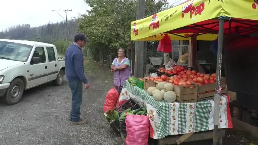 Agrícolas venden sus productos al costado de la carretera