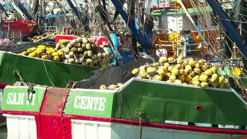 Realizarán comité de manejo por crisis de la sardina