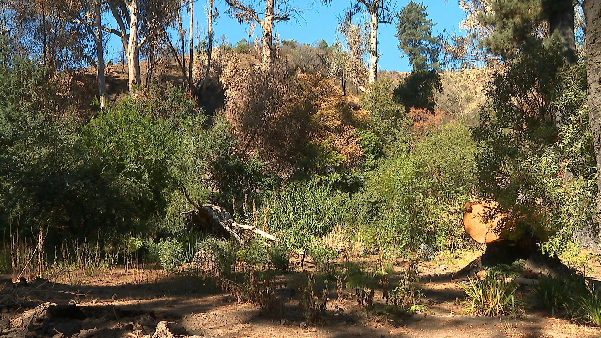 Jardín Botánico comienza a levantarse y este fin de semana abrirá sus puertas 