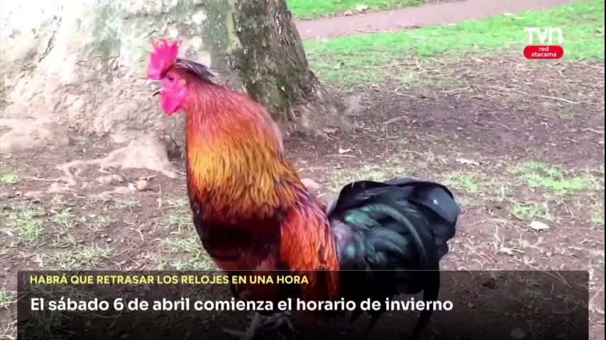Cambio de hora