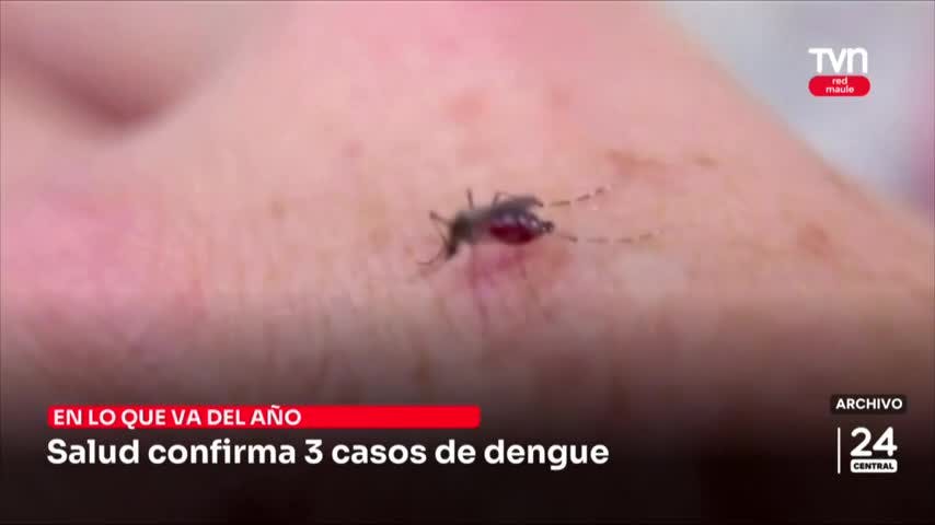 Salud confirma 3 casos de dengue
