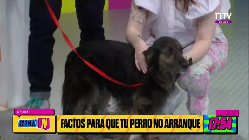 Cololo
