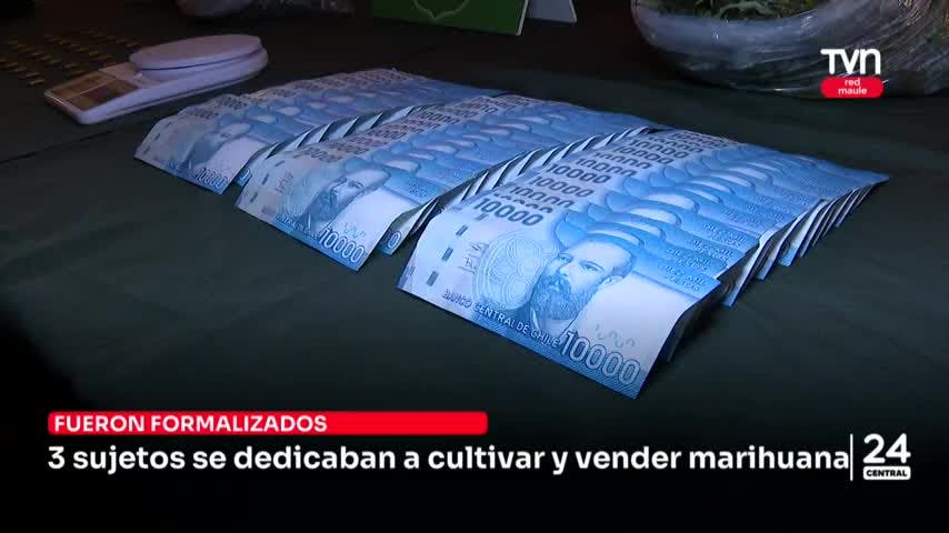 3 sujetos se dedicaban a cultivar y vender marihuana