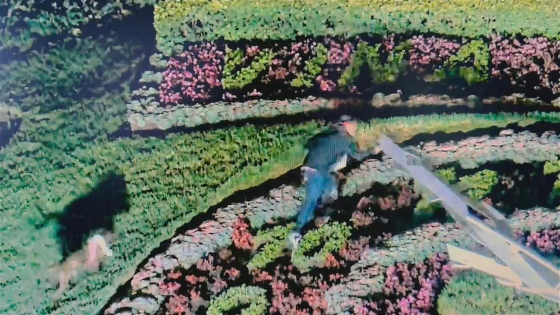 Detienen a hombre por manipular las manecillas del Reloj de Flores en Viña del Mar 