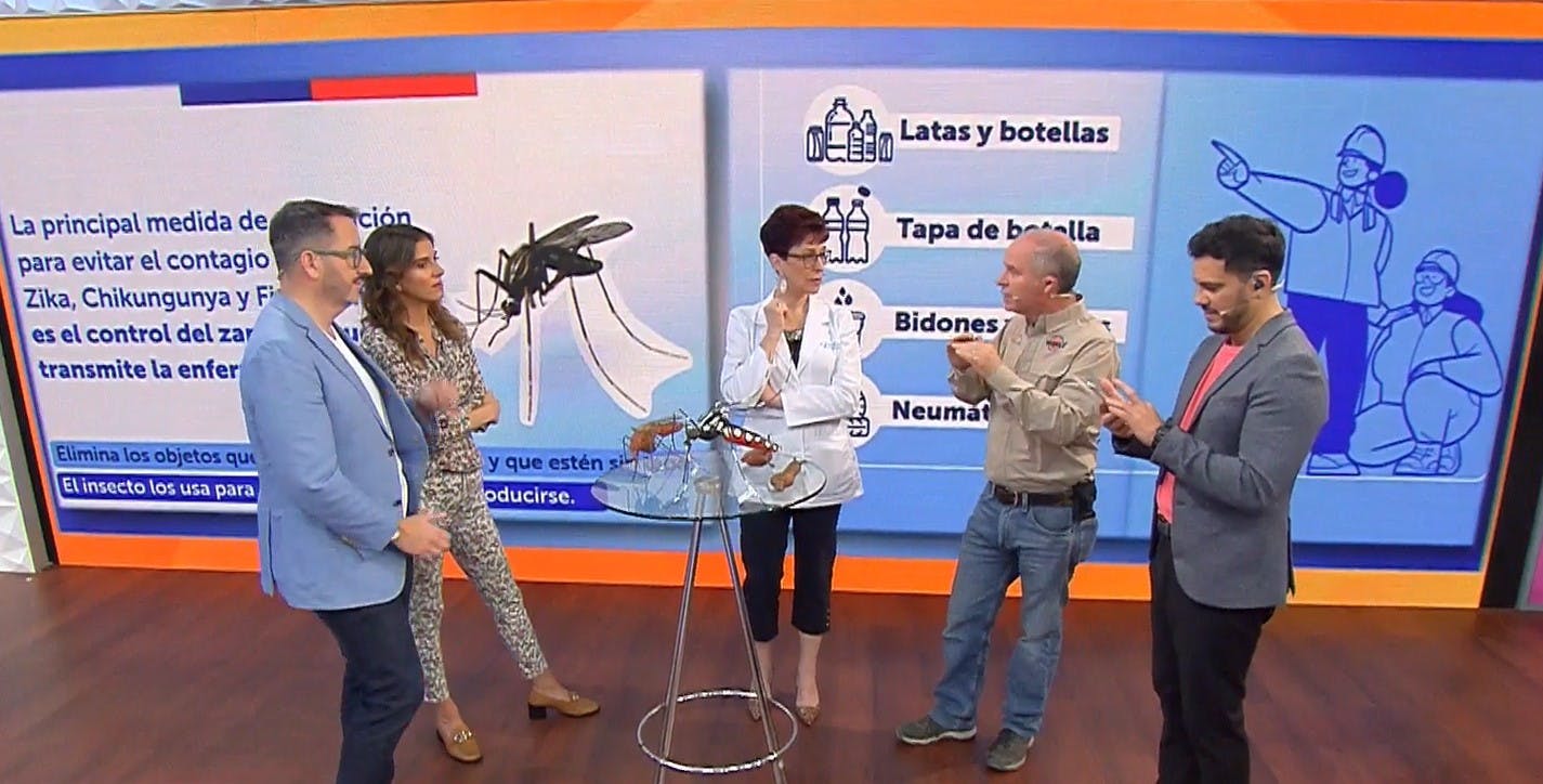 Síntomas, prevención y repelentes: Las preguntas frecuentes sobre el dengue