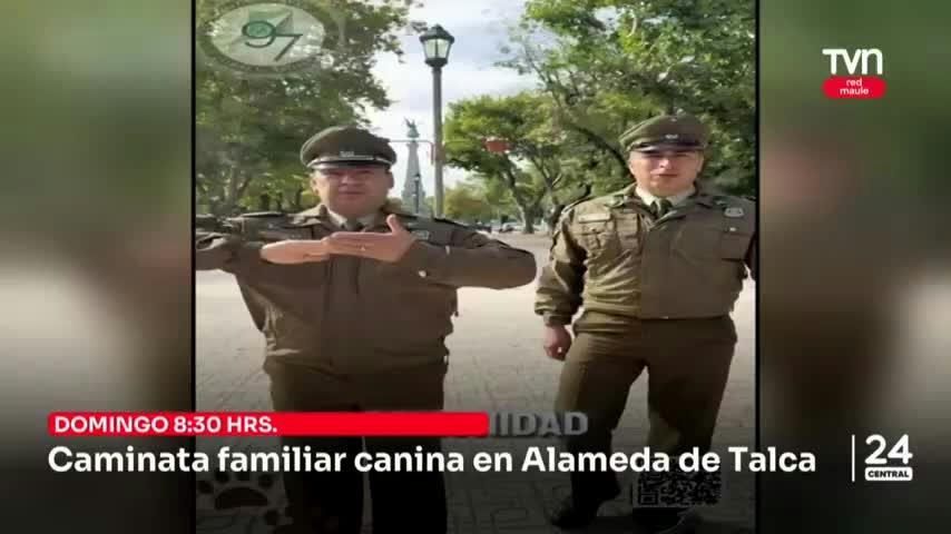 Convocan a caminata familiar canina en Talca