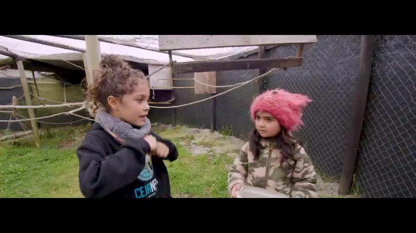 La Isla Grande de Flo Temporada 2 Capítulo 1: Cuidemos nuestra Fauna Silvestre