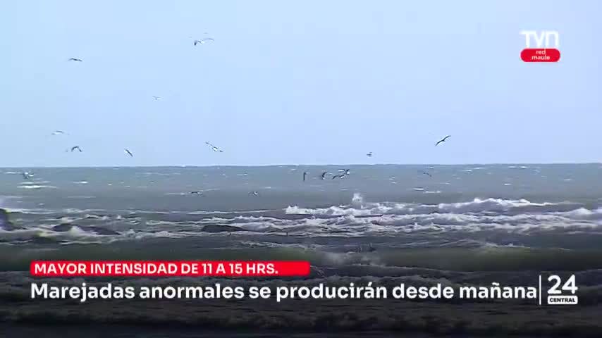 Marejadas anormales se producirán desde mañana