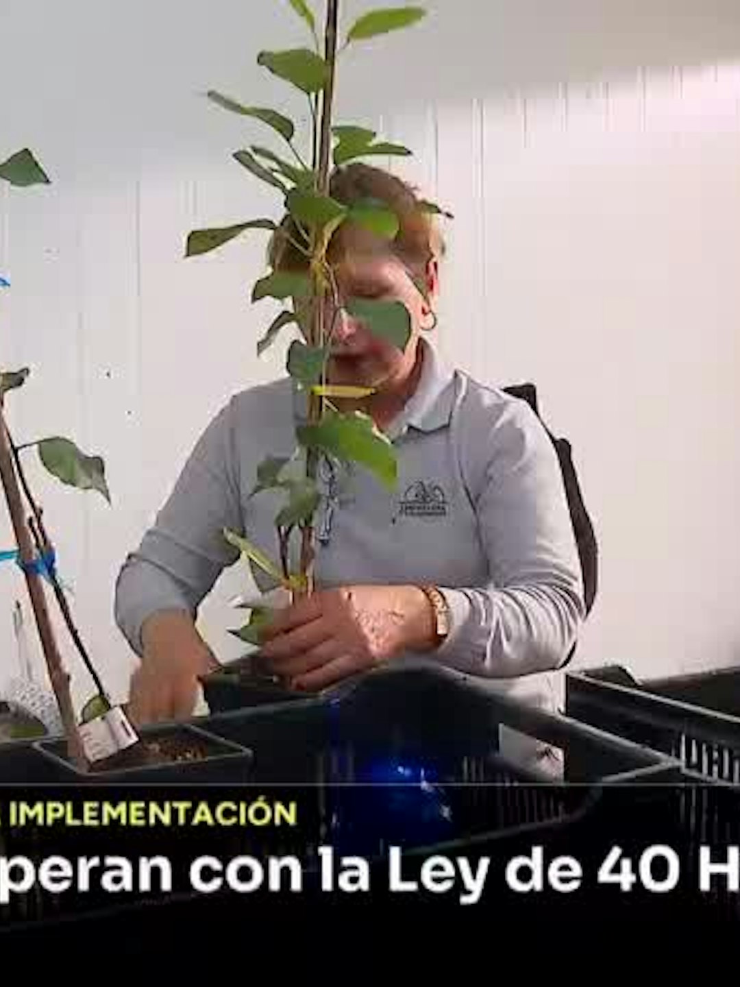 Ejemplos de empresas que operan con Ley de 40 Horas