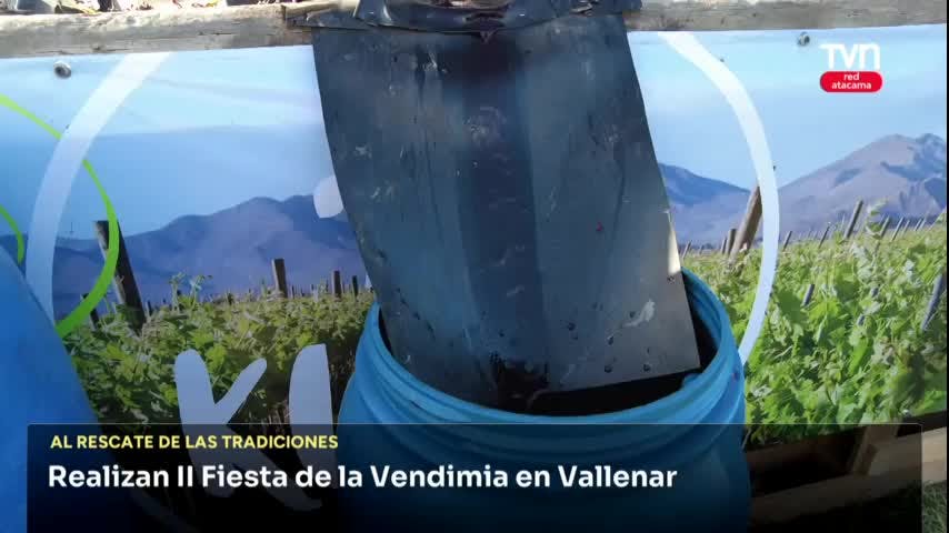 FIESTA DE LA VENDIMIA