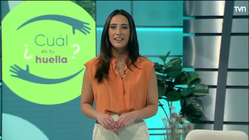 ¿Cuál es tu huella? | Voluntariado