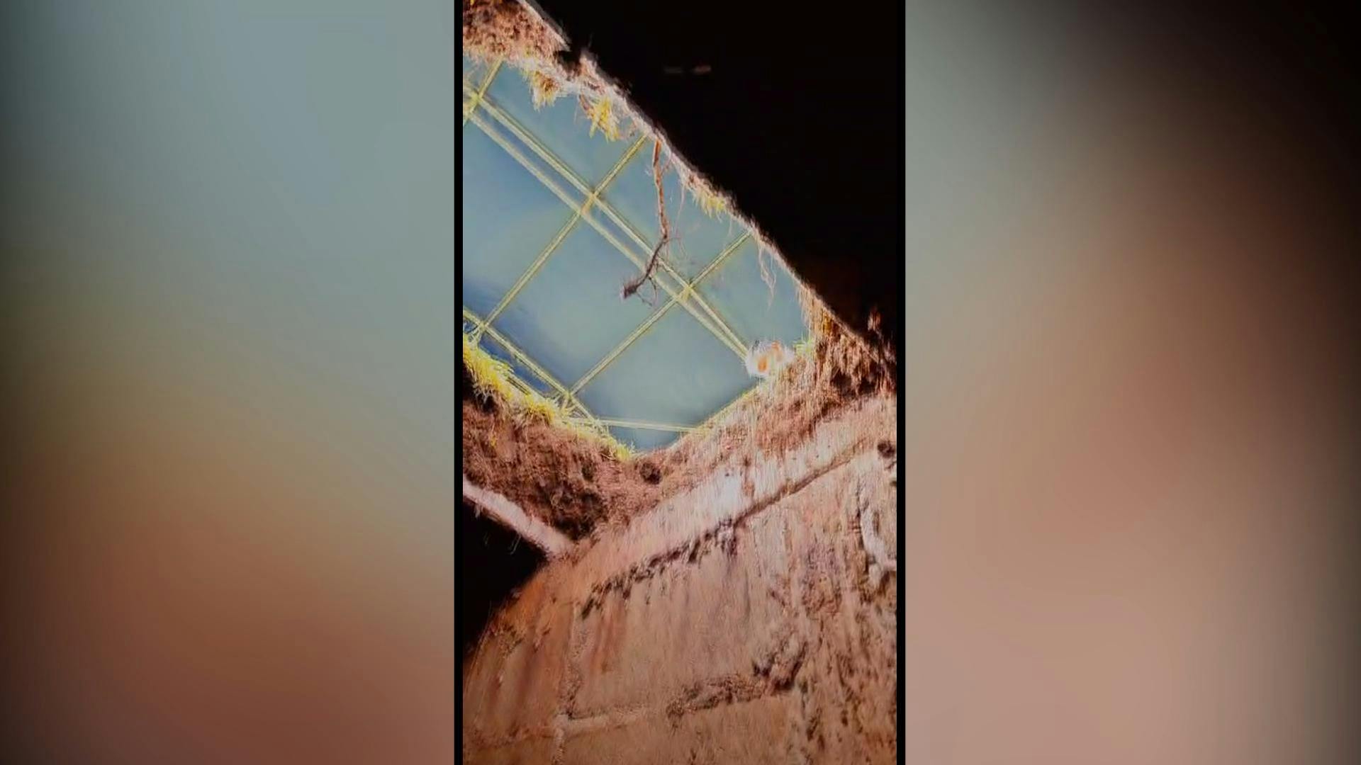 Hombre fue a visitar a su abuelo fallecido al cementerio y cayó dentro de fosa 