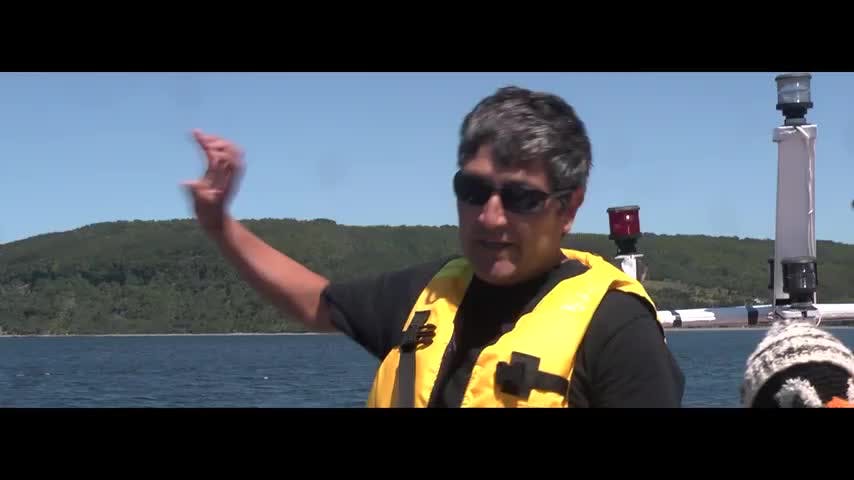 La Isla Grande de Flo T2 Capítulo 3: Buscando delfines y pingüinos