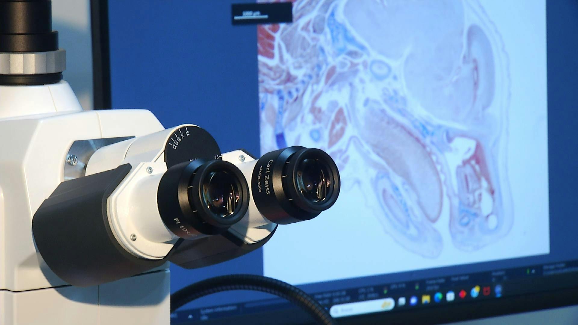 Módulo de microscopía de la Macrozona Austral