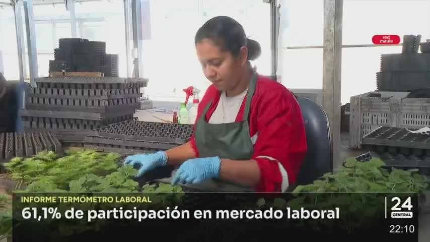 20% es la brecha en el mercado laboral entre mujeres y hombres