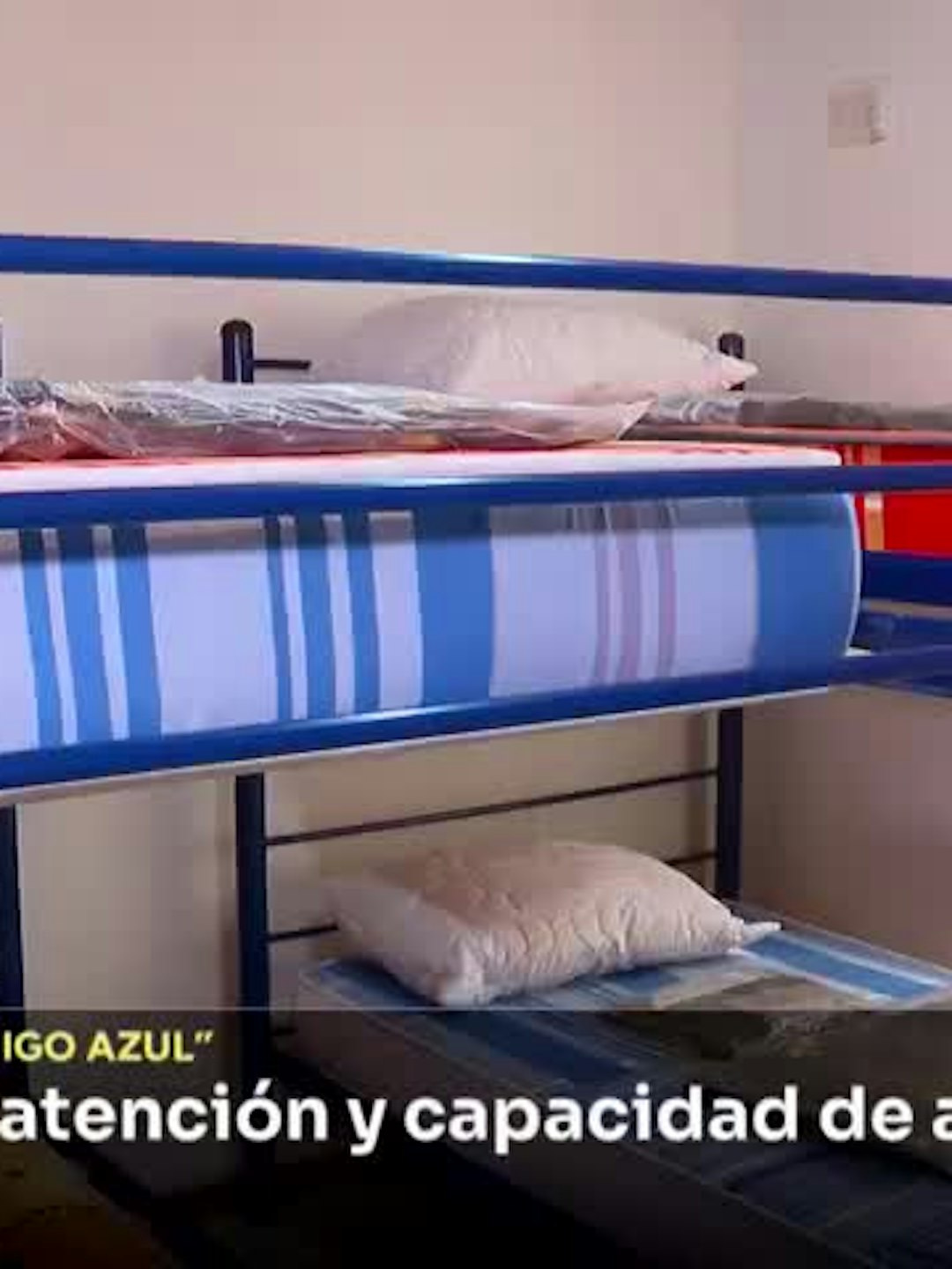 Piden ampliar atención y capacidad de albergues