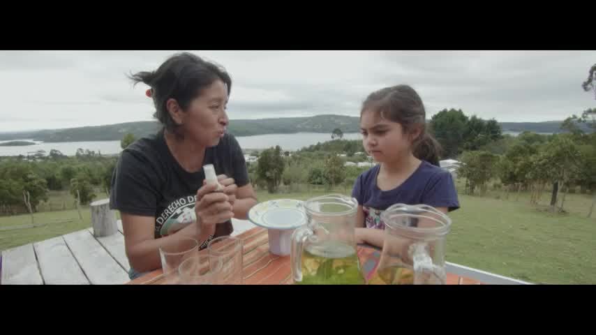 La Isla Grande de Flo T2 Capítulo 4: Hierbas Medicinales