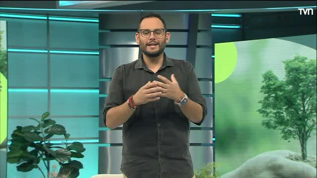 ¿Cuál es tu huella? | Inclusión