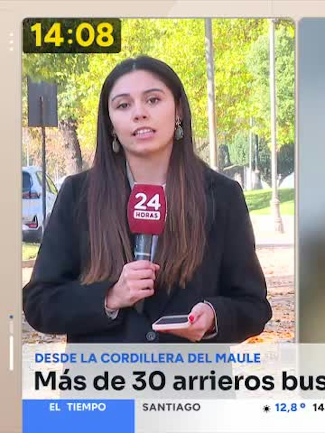 Preocupación por más de mil animales ganaderos atrapados en la cordillera
