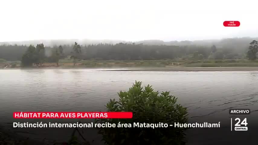 Distinción internacional recibe área Mataquito - Huenchullamí